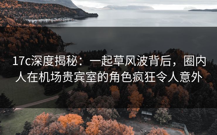 17c深度揭秘：一起草风波背后，圈内人在机场贵宾室的角色疯狂令人意外