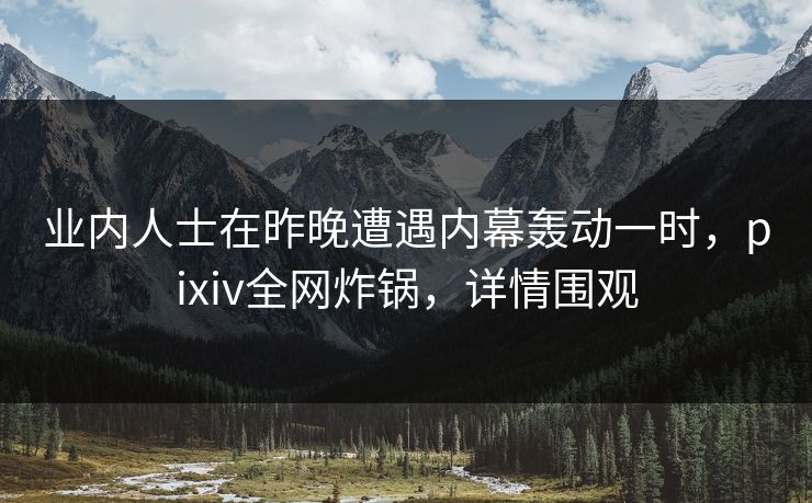 业内人士在昨晚遭遇内幕轰动一时，pixiv全网炸锅，详情围观