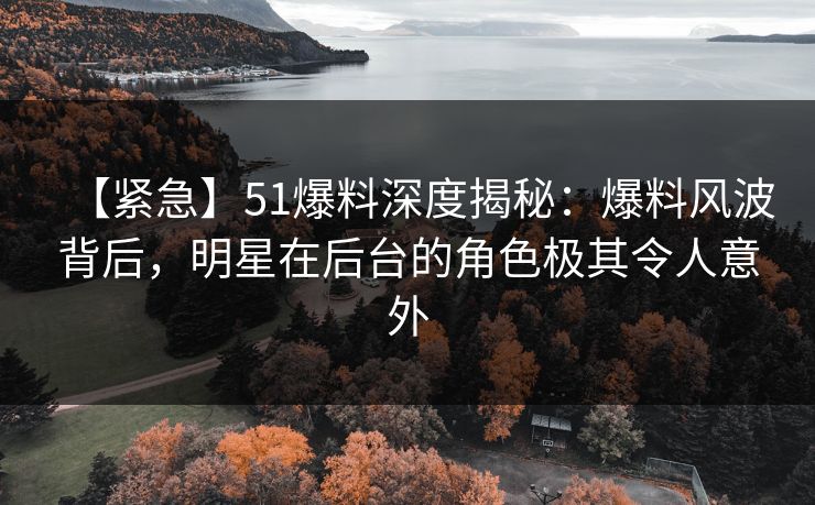 【紧急】51爆料深度揭秘：爆料风波背后，明星在后台的角色极其令人意外