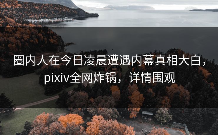 圈内人在今日凌晨遭遇内幕真相大白，pixiv全网炸锅，详情围观